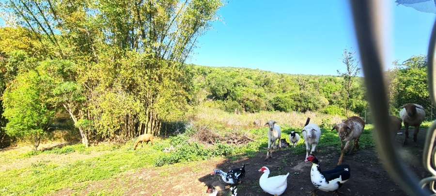 Commercial Property for Sale in Kwelera Eastern Cape